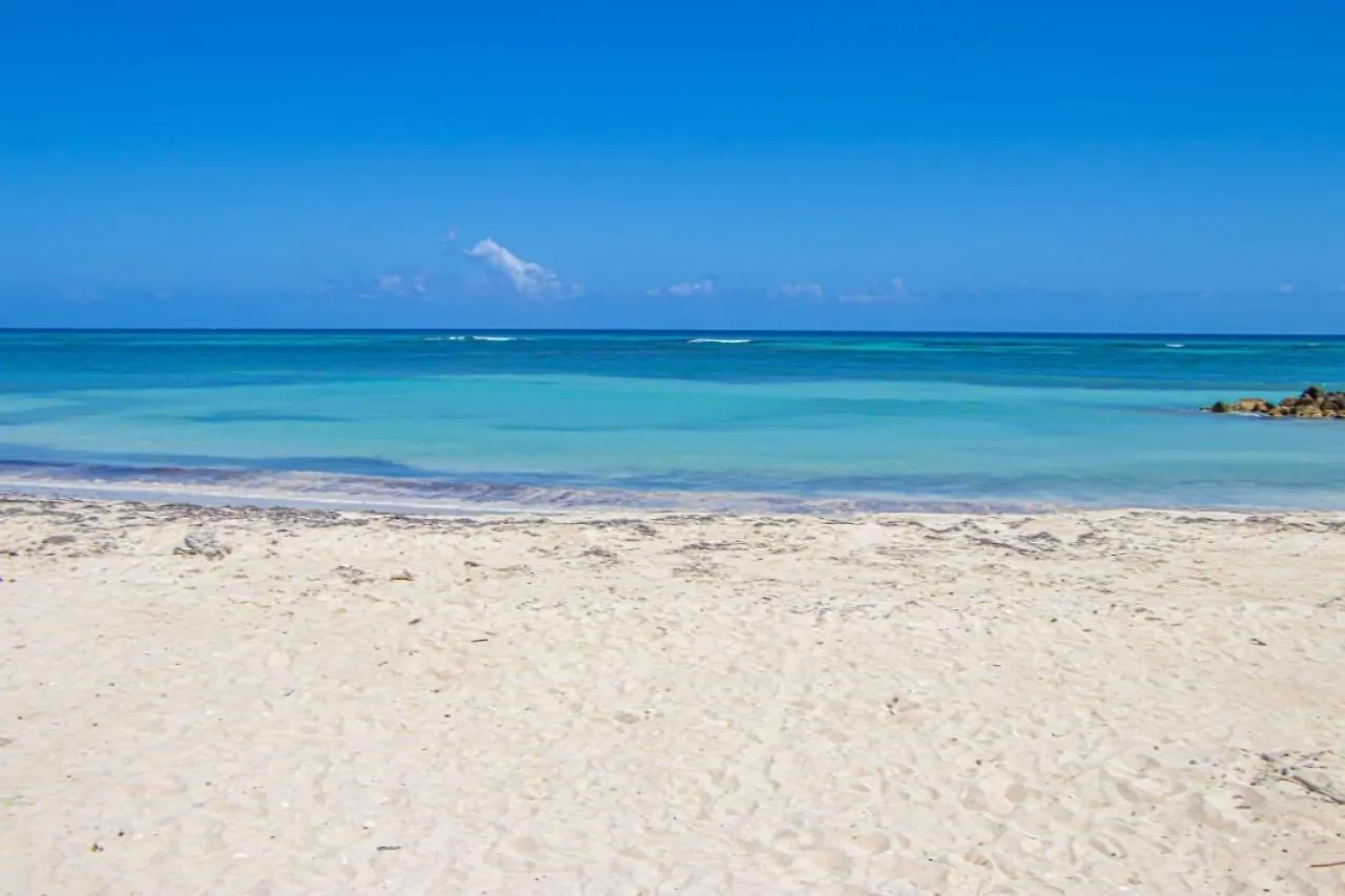 Malibu Ocean View Studio Apartment Montego Bay