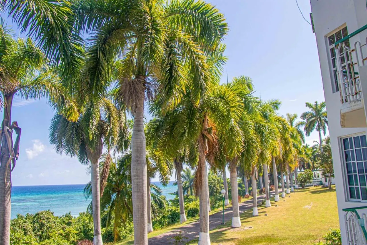 Malibu Ocean View Studio Apartment Montego Bay 0*,  Jamaica