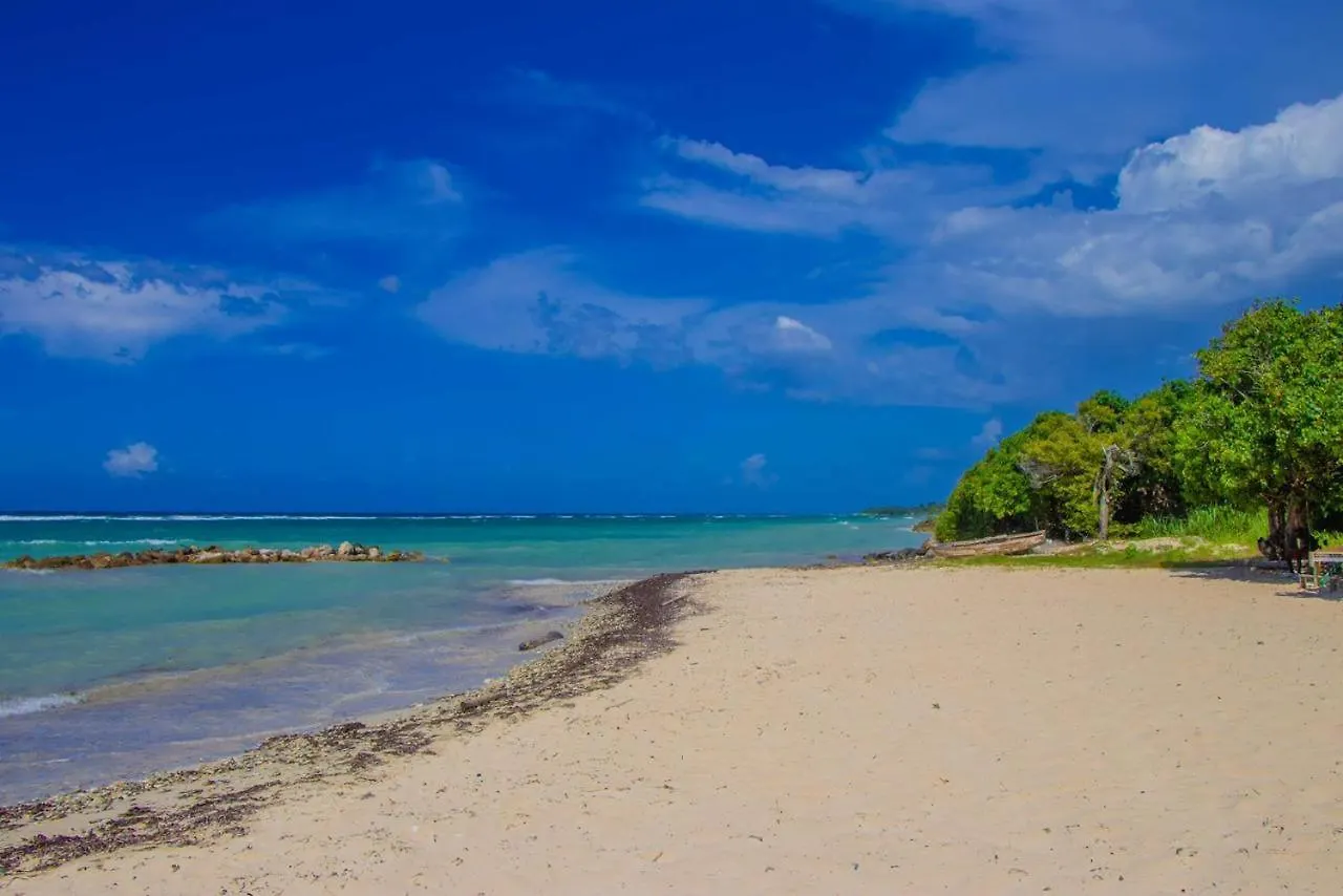 Malibu Ocean View Studio Apartment Montego Bay Jamaica