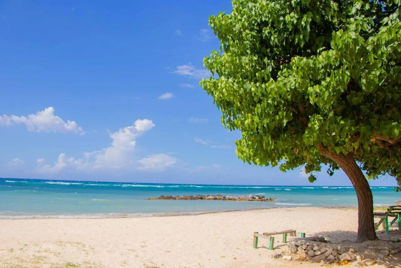 Malibu Ocean View Studio Apartment Montego Bay 0*,  Jamaica